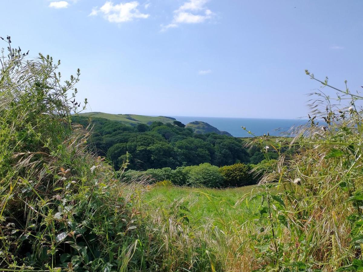 The Mill Tintagel Exterior foto